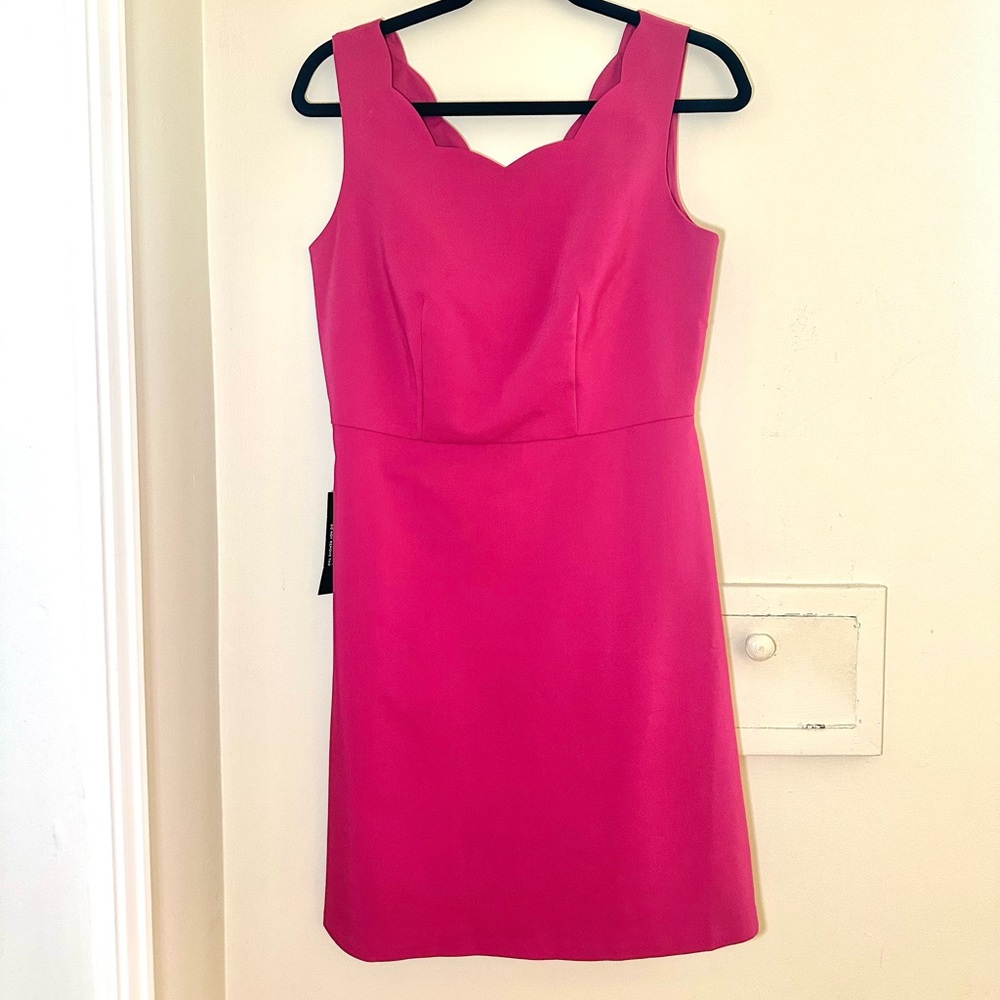 NWT The Limited Pink Scalloped Sheath Dress Size 4